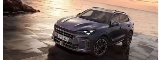 vehiculos para exportacion